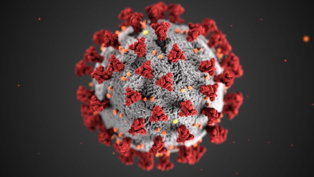 3D illustration of a coronavirus particle, showing a spherical gray structure with red spike proteins and small orange dots on a dark background.