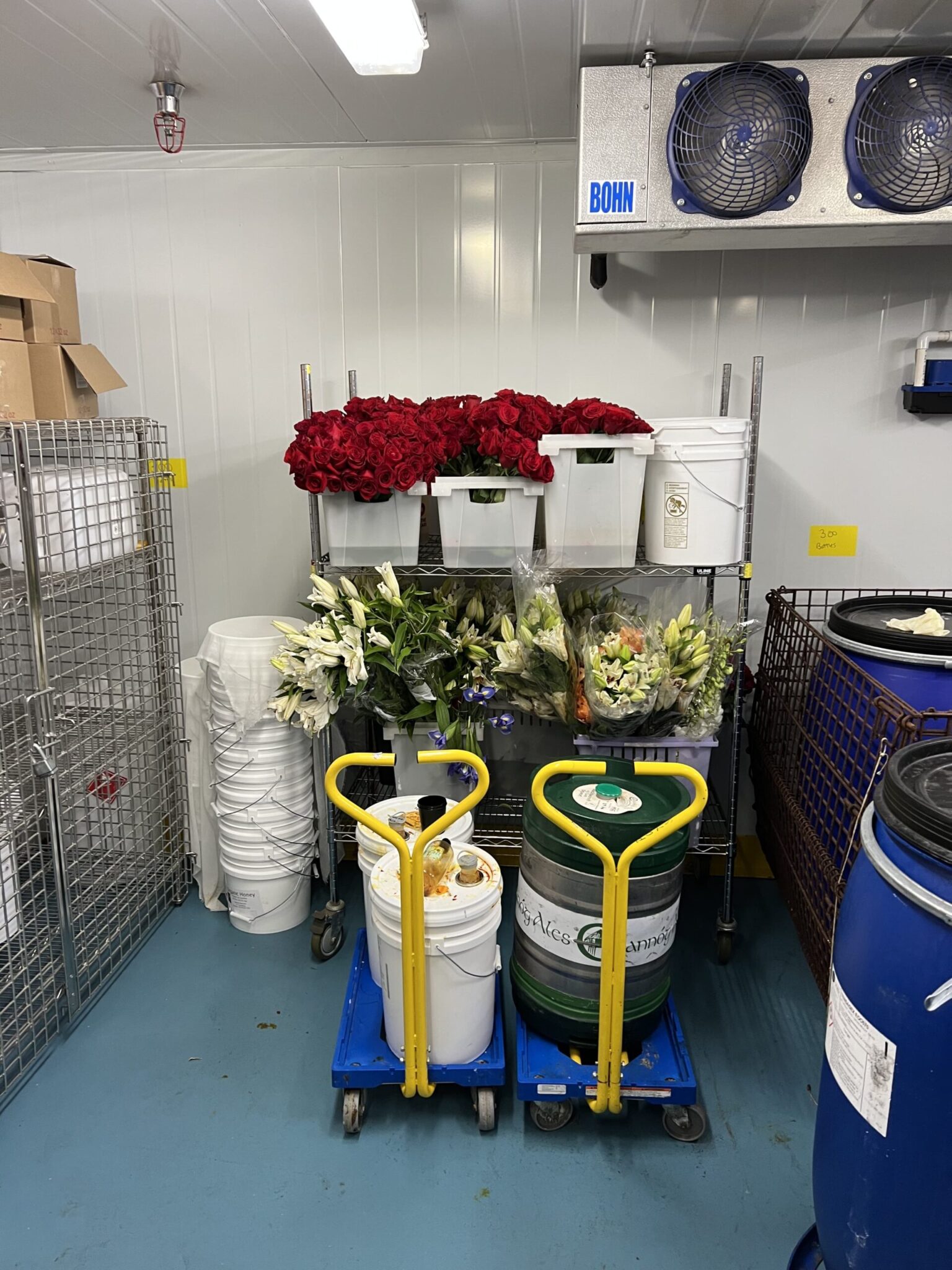 We visited the LUSH HQ | Zipline. Inc