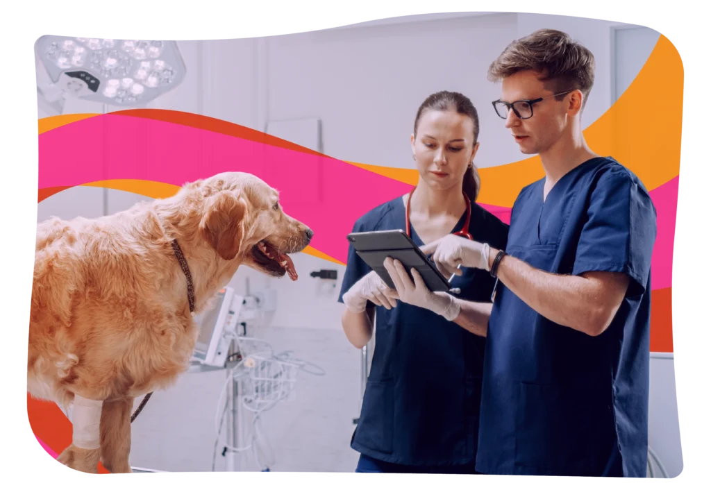 Two veterinarians in scrubs examine a digital tablet while a Golden Retriever stands on an exam table in a veterinary clinic.